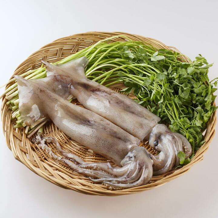 (방송 중 1미 더) 수산대로 국내산 손질 선동 통오징어 총 15미 280g(2미) x 7팩 + 140g(1미) 