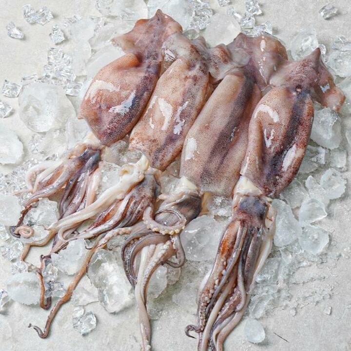 자연산 통 오징어 내장 손질 완료 생물 오징어 260g(중/2미)