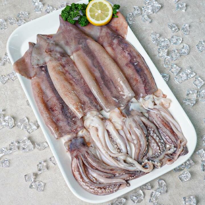 자연산 통 오징어 내장 손질 완료 생물 오징어 260g(중/2미)