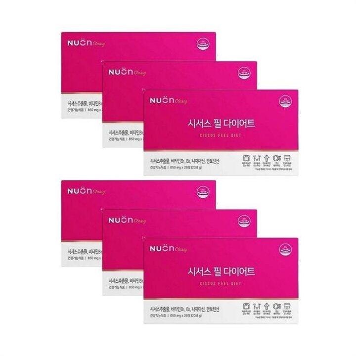 뉴온시서스필850mg28정x6박스SJ