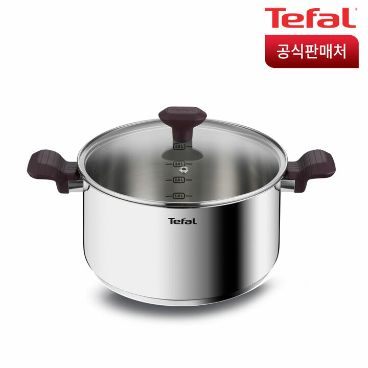 테팔 인덕션 스테인리스스틸 테이스티쿡 양수냄비 24cm