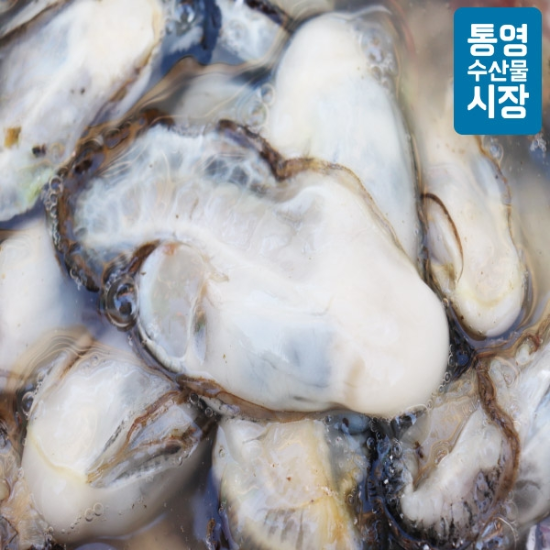 [통영수산물시장] 당일조업 통영 생굴 2kg 손질굴 깐굴