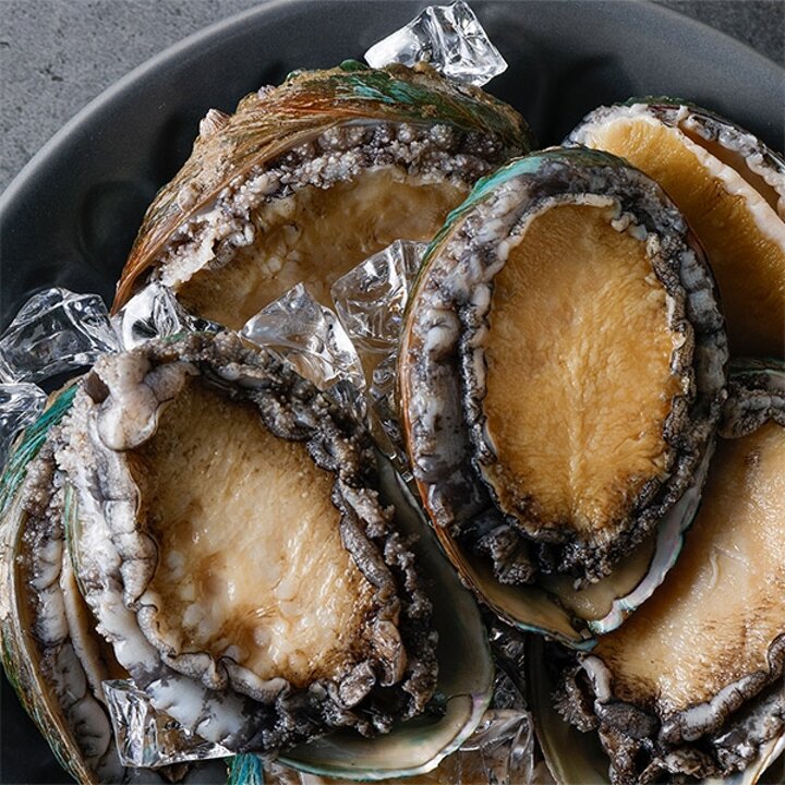 실속 국내산 완도 활 전복 2kg 특대