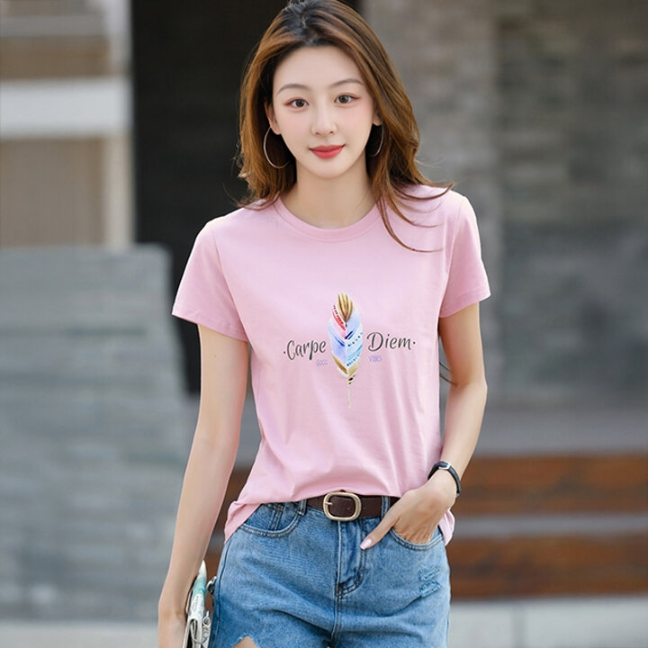 [알트베니] 로베라인견혼 티3종