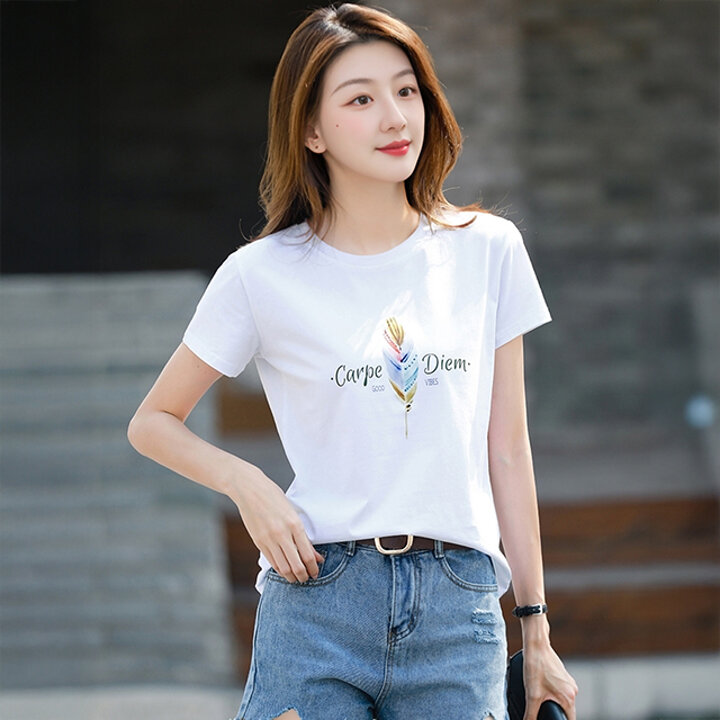 [알트베니] 로베라인견혼 티3종