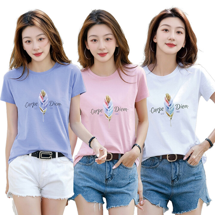 [알트베니] 로베라인견혼 티3종
