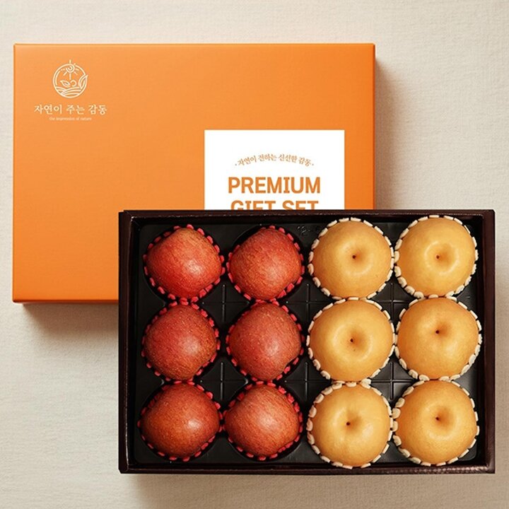 자연의감동 혼합과일 9호 사과6개+배6개 5kg 과일선물세트