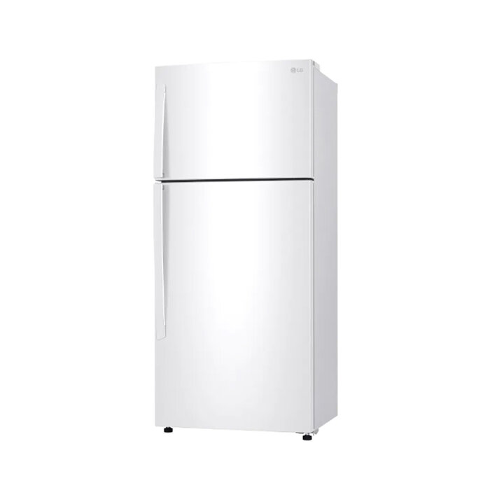 LG 일반 냉장고 B502W33