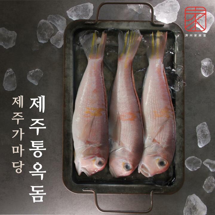 (방송중에만)제주가마당 제주통옥돔 500g 3팩(팩당 3∼4미) + 1마리 더