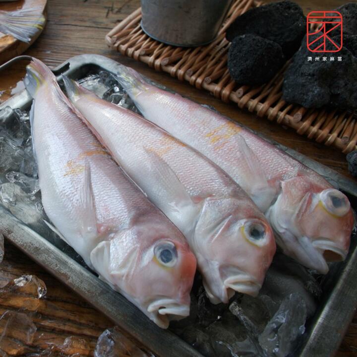 (방송중에만)제주가마당 제주통옥돔 500g 3팩(팩당 3∼4미) + 1마리 더