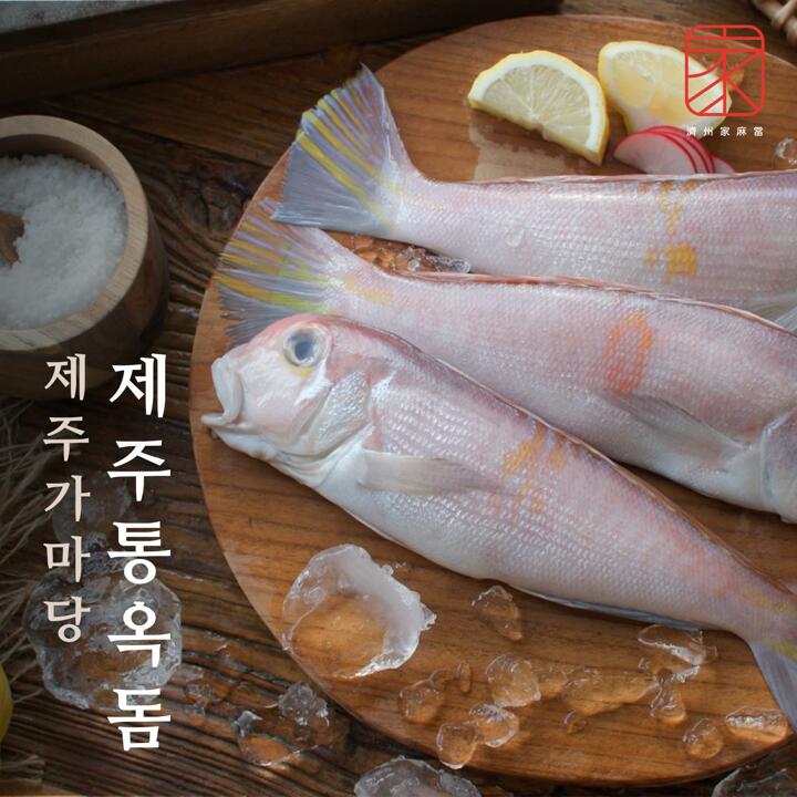 (방송중에만)제주가마당 제주통옥돔 500g 3팩(팩당 3∼4미) + 1마리 더