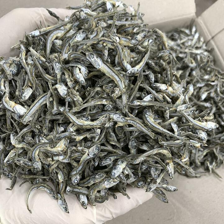 [해동찬가] 국내산 조림용 고바 멸치 1.5kg