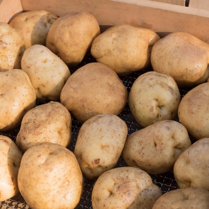 수미감자 2kg (특)