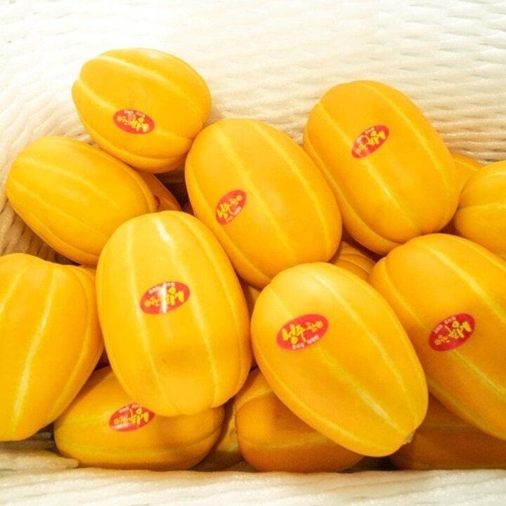 국내산 가정용 성주 참외 로얄 중과 4kg 16과 내외21957250588324