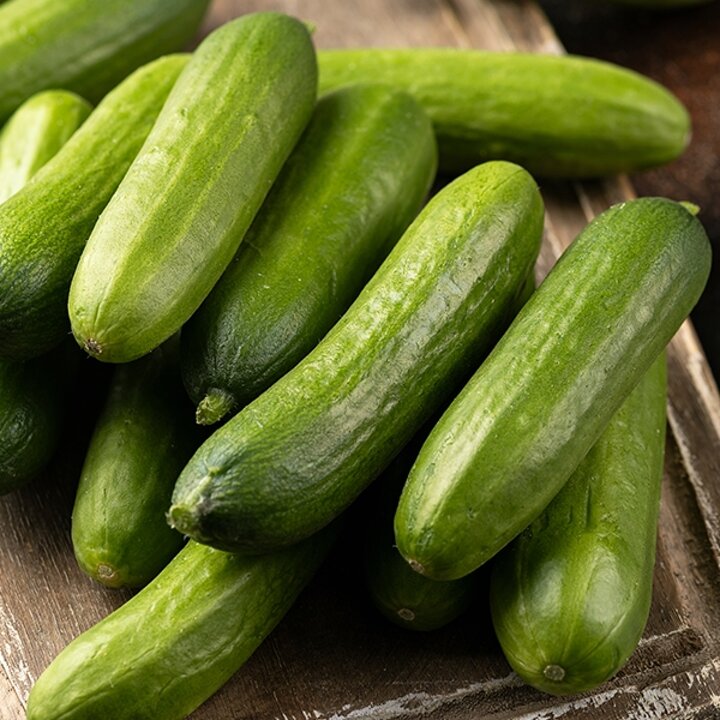 광양 미니오이 1kg(500g*2팩)