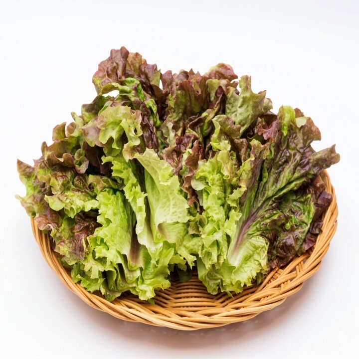 꽃상추 2kg