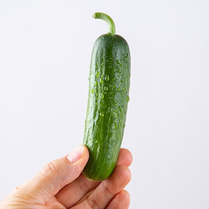 국내산 미니 오이 1kg