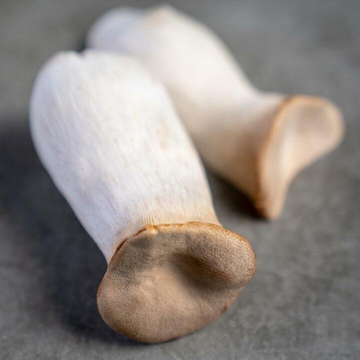 국내산 새송이버섯 2kg (상)