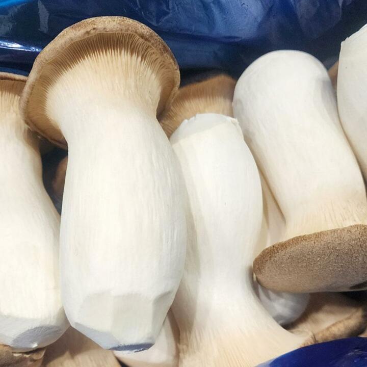 국내산 새송이버섯 2kg (특)
