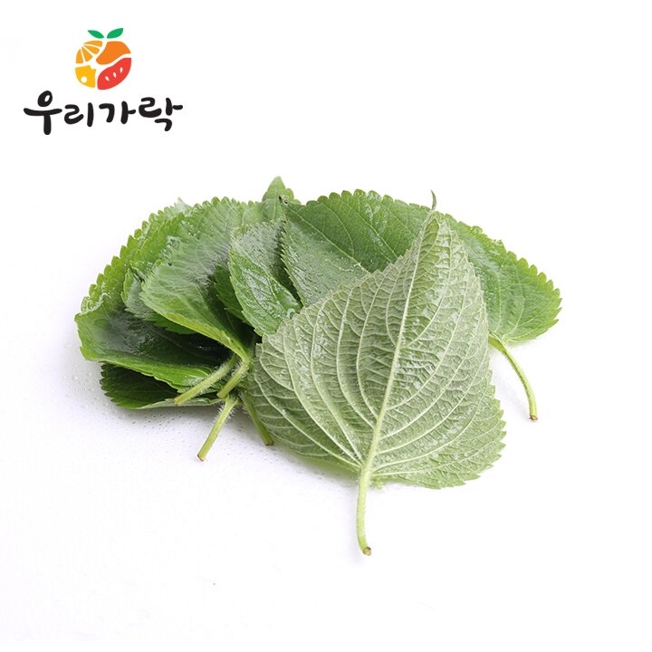 [새벽배송][우리가락] 깻잎 3묶음