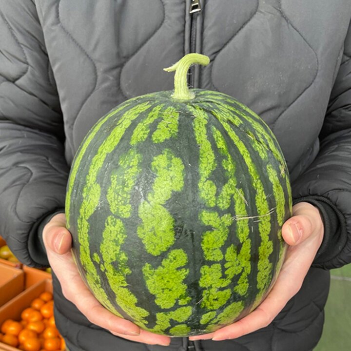 하우스 수박 4kg 내외