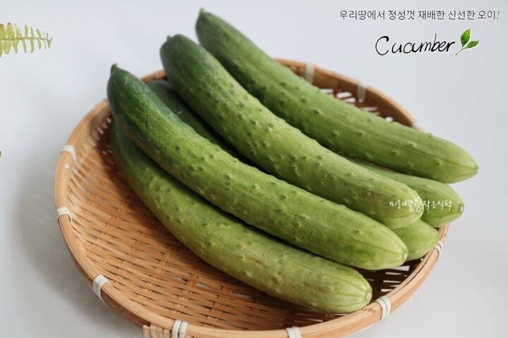 국내산 백다다기 오이 특품 3kg