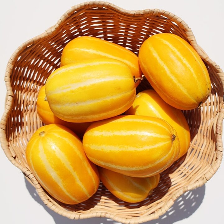 가정용 국산 성주참외 2.5kg 로얄과