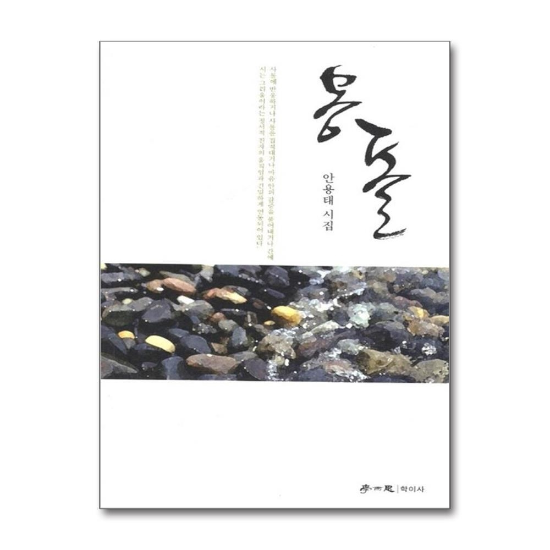 몽돌 - 안용태 시집