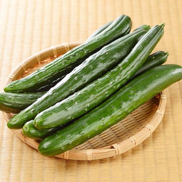 (G)농담 국내산 취청오이 2kg 특품