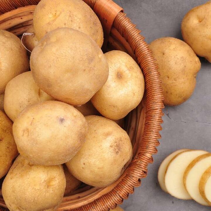 포근포근 26년산 국내산 햇감자 10kg (특)