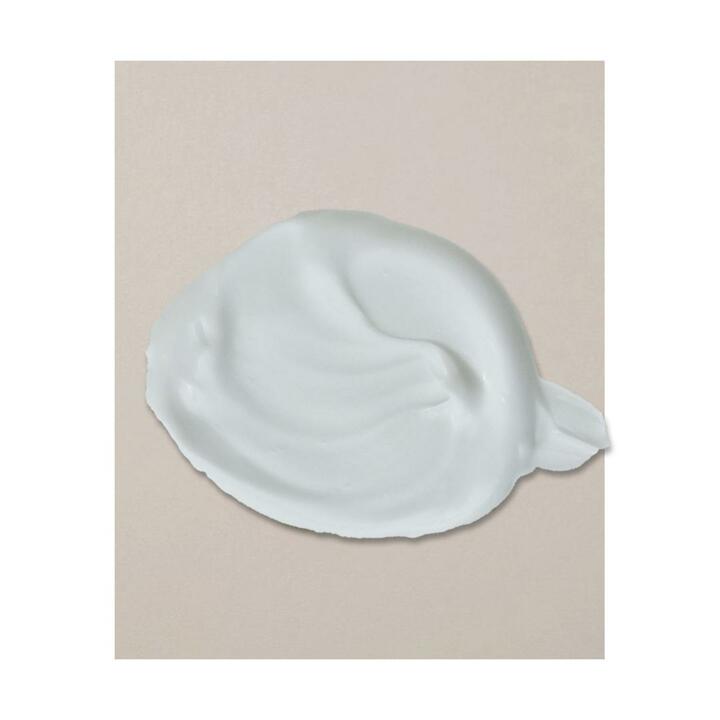 [구매시 메가커피 기프티콘 증정]캄프 미스티 포레스트 퍼퓸드 핸드 크림 50ml