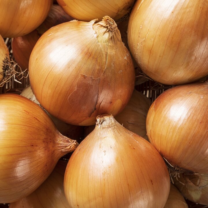 [산해직송] 국내산 자색양파 소 10kg