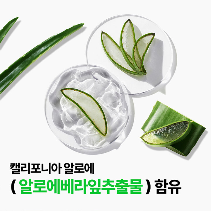 [2+2] 수딩 앤 모이스처 알로에베라 클렌징 티슈