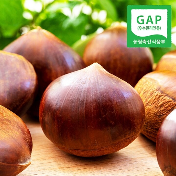 [웰굿][GAP인증] 산지직송 충남 공주 정안 옥광밤 2kg(특)