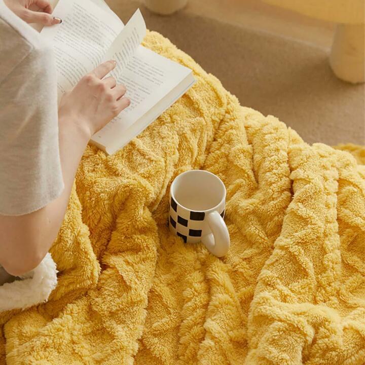 아가일 꽈배기패턴 극세사 양털 양면담요 대형(100x150)