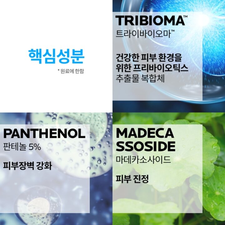 시카플라스트 멀티 리페어 크림 100ml x 2