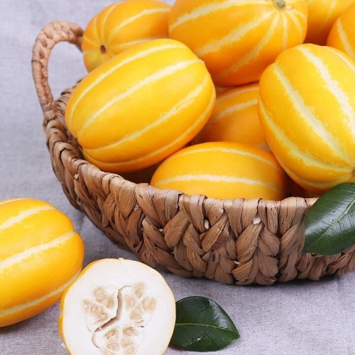 (신세계 사우스시티)[신세계 오늘의과일]프리미엄 고당도 성주참외2.0kg(5 8과/중소과) 안전박스배송