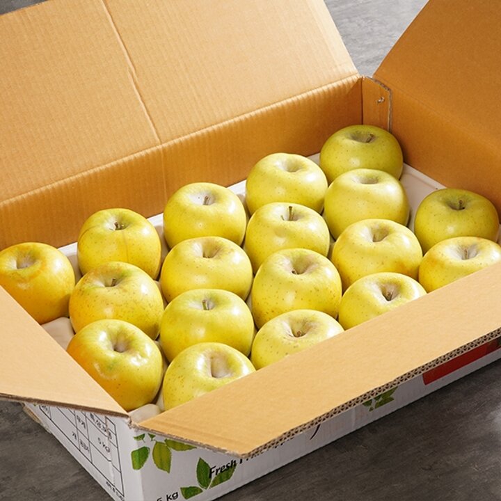 황금사과 시나노골드 일반용 중과 3kg