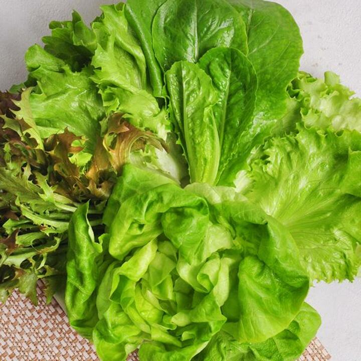 산지직송! 충북괴산 유럽샐러드 채소1kg
