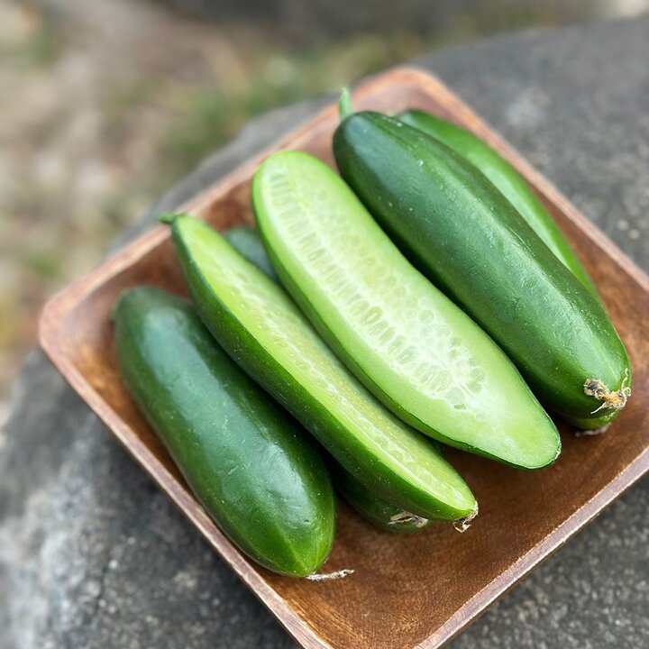 아삭 달큰한 미니오이 2kg