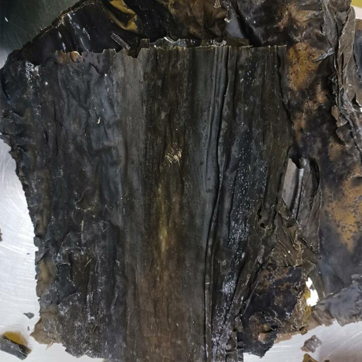 국내산 완도 파지 건다시마 1kg