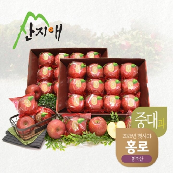 산지애 씻어나온 햇사과 홍로 2.7kg 2box (중대과)