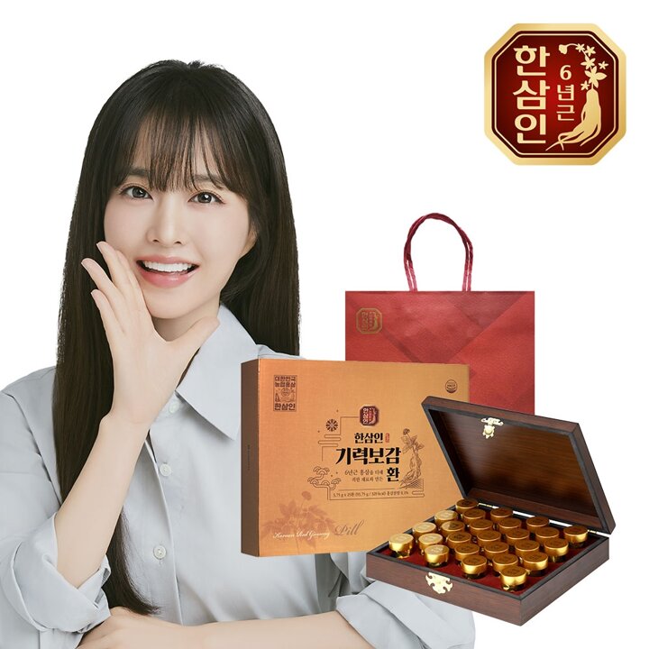 [농협홍삼] 한삼인 기력보감환 3.75g 25환+쇼핑백
