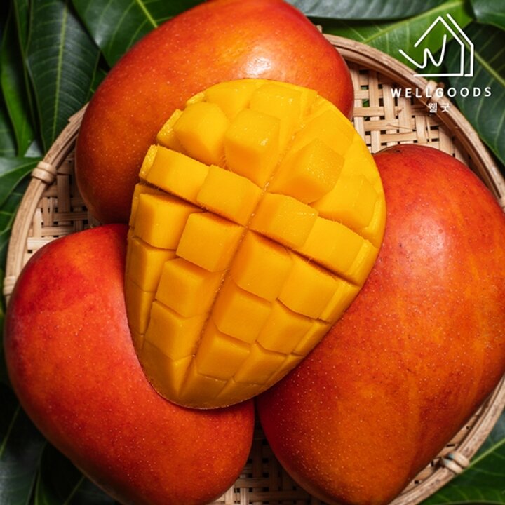 [웰굿] 항공직송 고당도 애플망고 2kg(4-6과내외)
