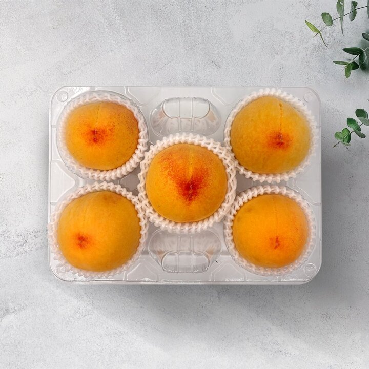 (신세계본점)황도 복숭아 1kg이상 5-6입 특등급