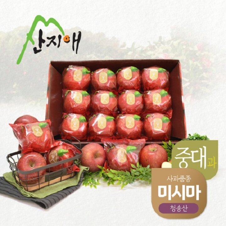 산지애 씻어나온 꿀사과 3kg 1box (중대과) / 청송산 미시마 당도선별