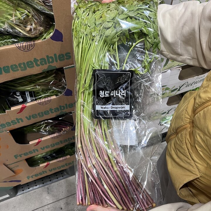 코스트코 청도 미나리 500g