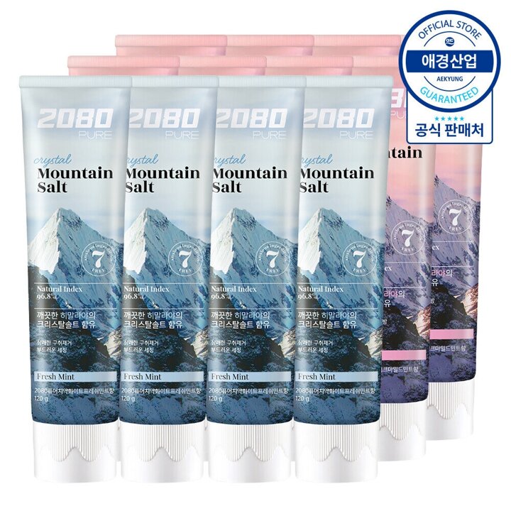 2080 히말라야 퓨어 솔트 치약 150g x12개