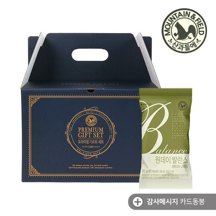 [G]하루견과 원데이발란스그린 100봉 선물세트