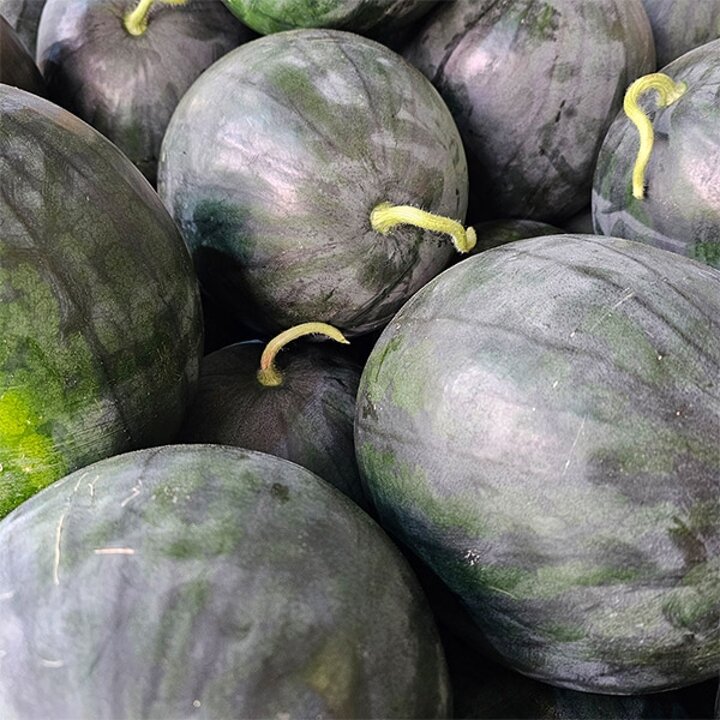 늘푸른 흑수박 3.5kg